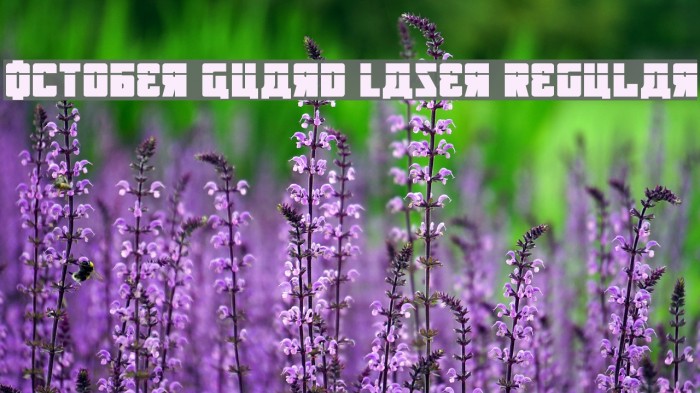 October Guard Laser Regular Example 1