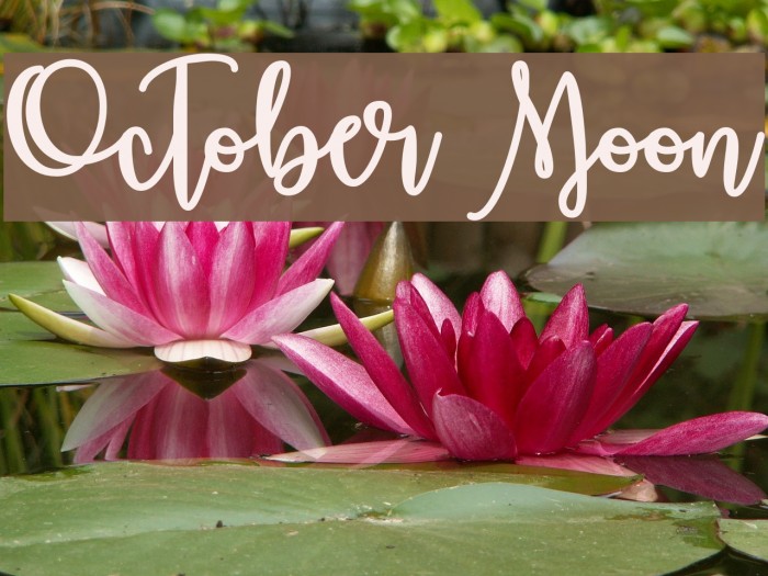 October Moon Font examples
