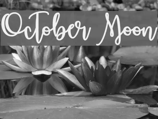 October Moon Fonte examples