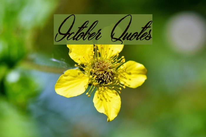 October Quotes Font examples