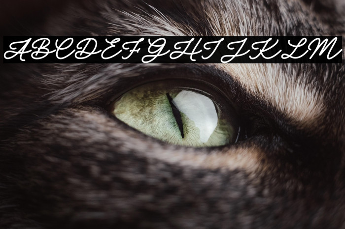 October Shine Fuentes examples