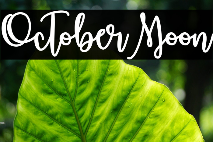 OctoberMoon Font examples