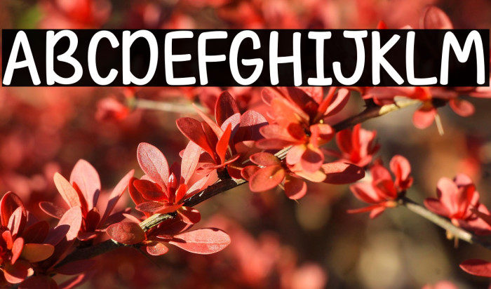 OctoberNight Example 1