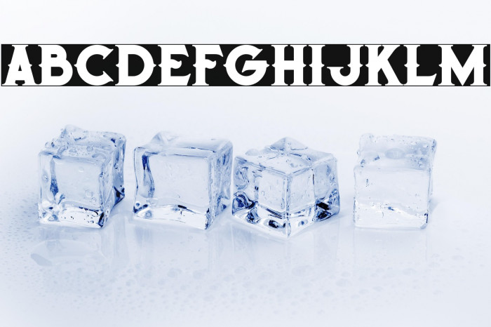 Octopus Bold Example 3