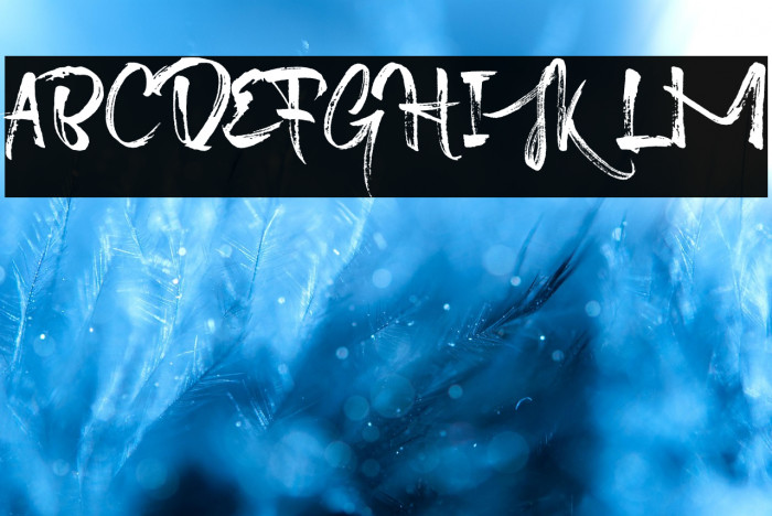 Octopus Font Example 1