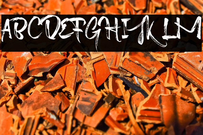 Octopus Font Example 3