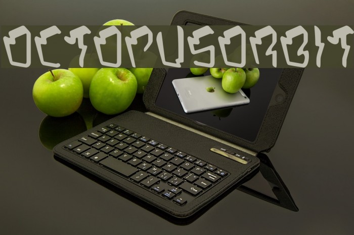 OctopusOrbit Example 3