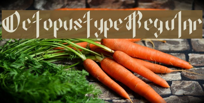 OctopustypeRegular Example 2