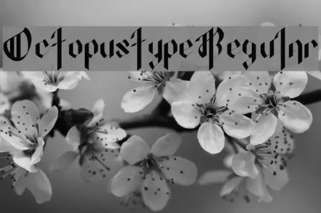 OctopustypeRegular Font examples