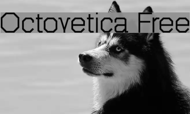 Octovetica Free Font examples