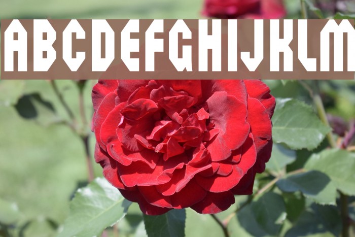 Octoville Font examples