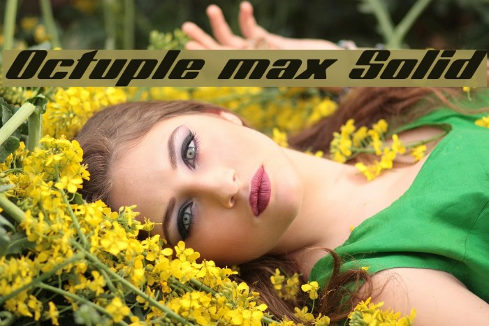 Octuple max Solid Font examples