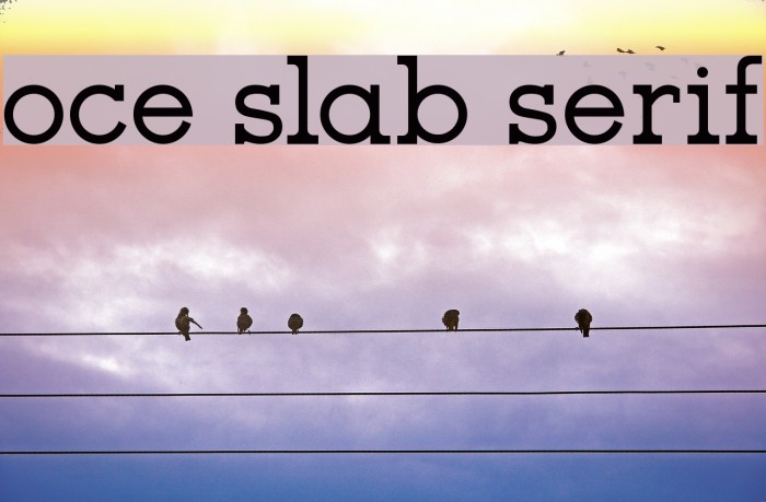 oce slab serif Font examples