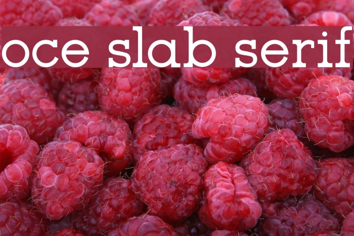 oce slab serif Font examples