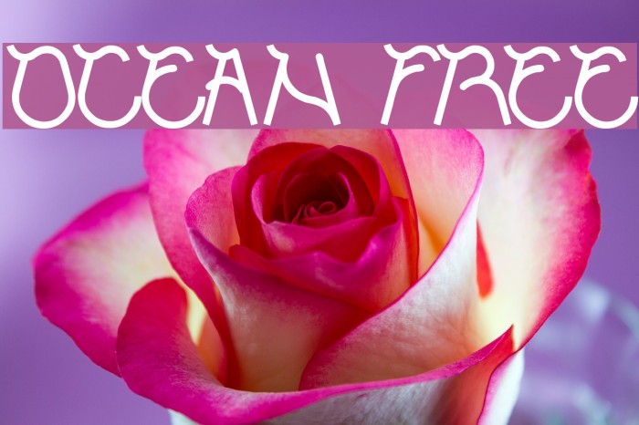 ocean free Font examples