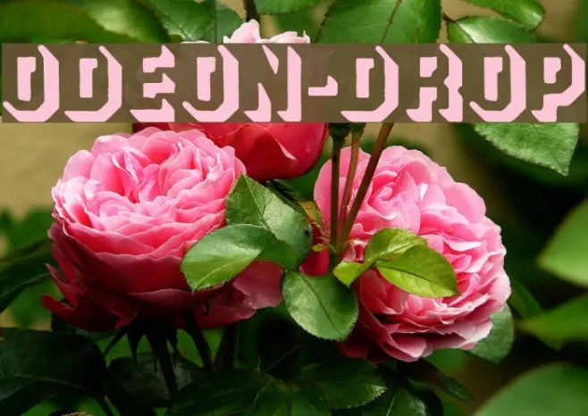 ODEON-DROP Example 3