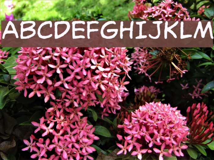 OdaBalloon Font examples