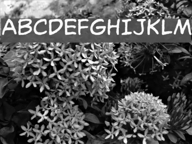 OdaBalloon Fonte examples