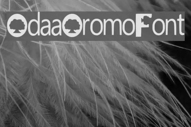 Odaa_Oromo_Font Font examples