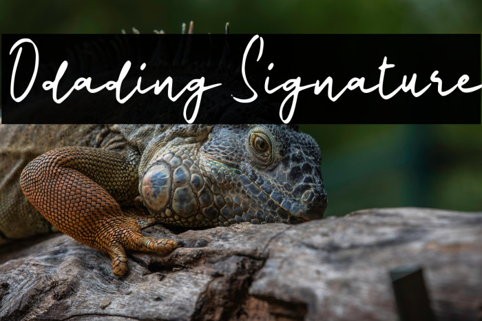 Odading Signature Example 2