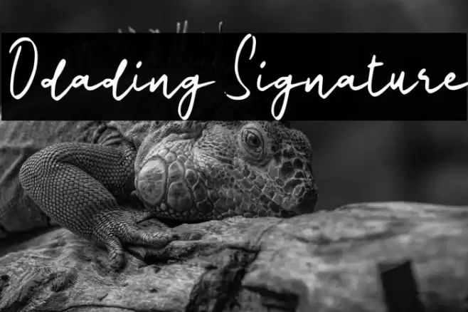 Odading Signature Fonte examples