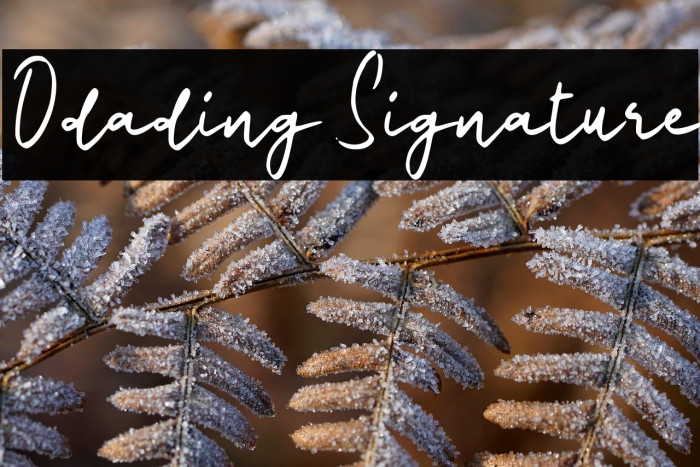 Odading Signature Example 3