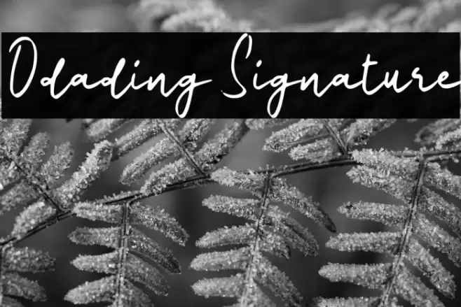 Odading Signature Fonte examples
