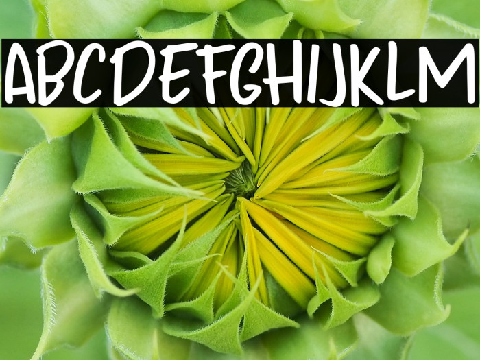 Odaiba Script DEMO Regular Example 2