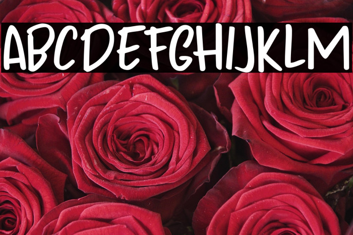 Odaiba Script DEMO Regular Example 3