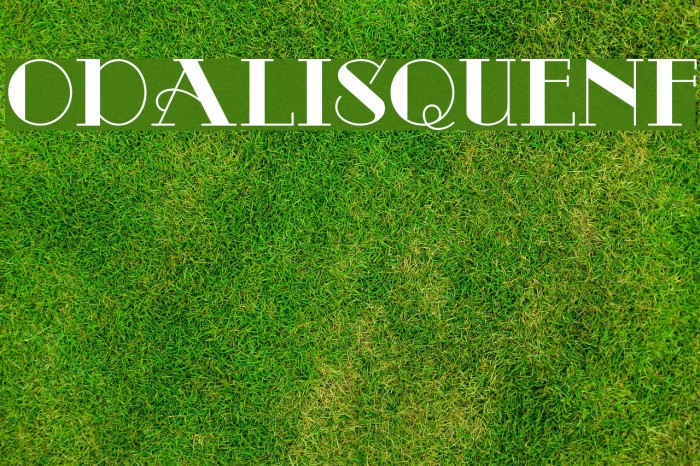 OdalisqueNF Font examples