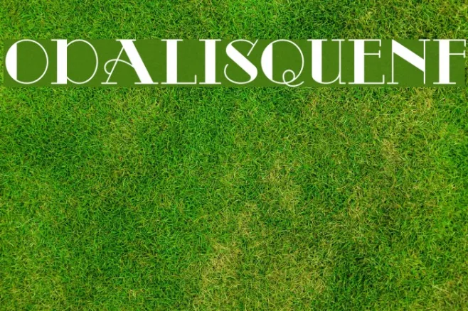 OdalisqueNF Example 1