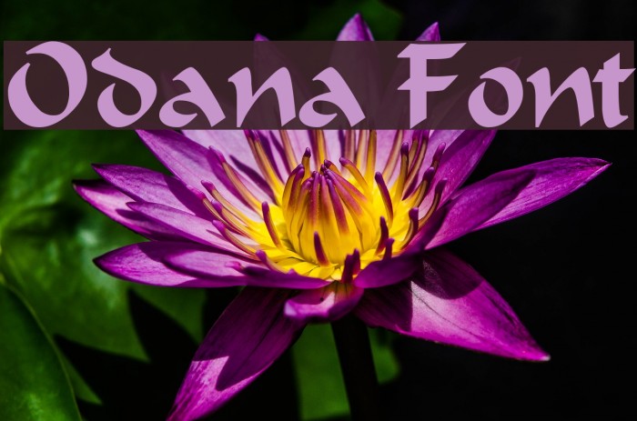 Odana Font examples