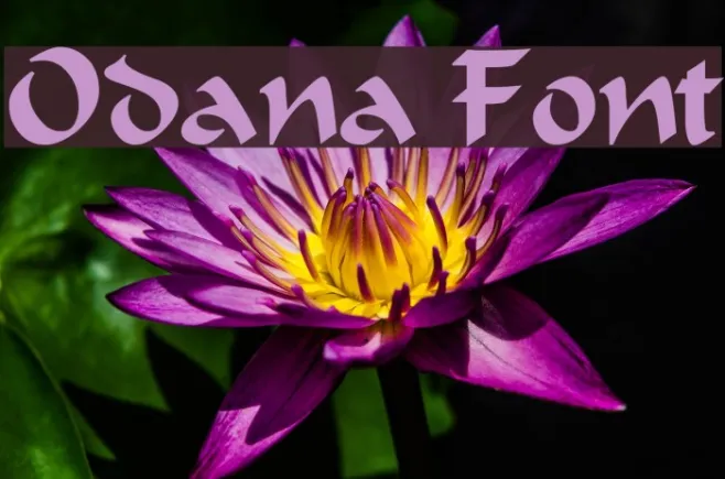 Odana Example 3