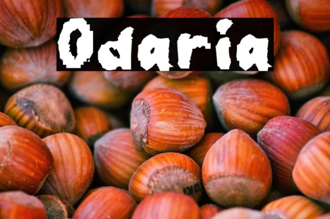 Odaria Example 2