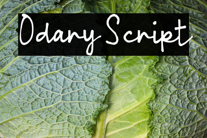 Odary Script Example 1