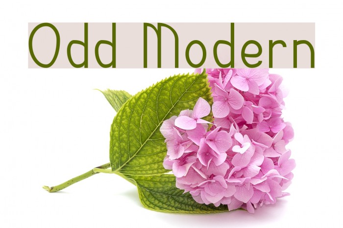 Odd Modern Font examples