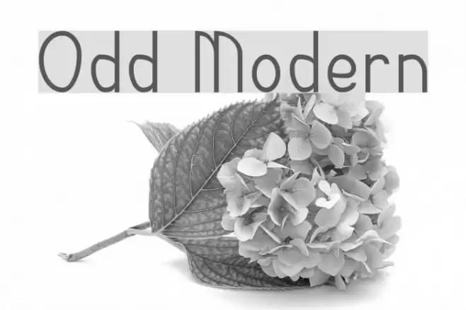 Odd Modern フォント examples