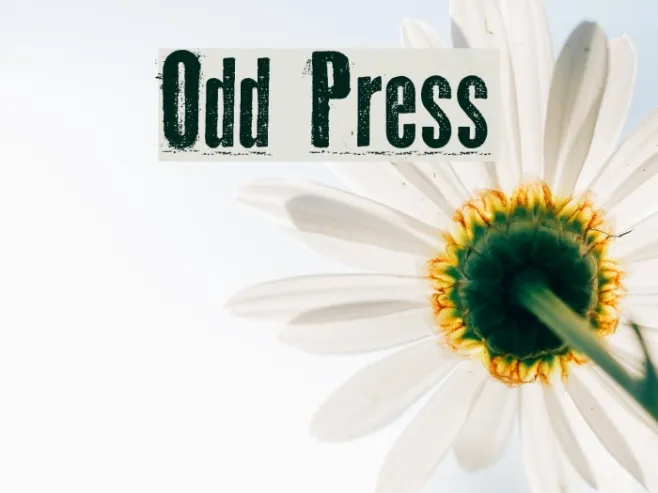 Odd Press Example 2