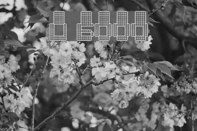 Oddessey 6000 Font examples