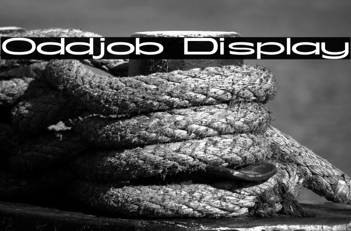 Oddjob Display Example 1