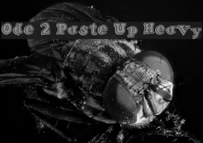 Ode 2 Paste Up Heavy Fonte examples