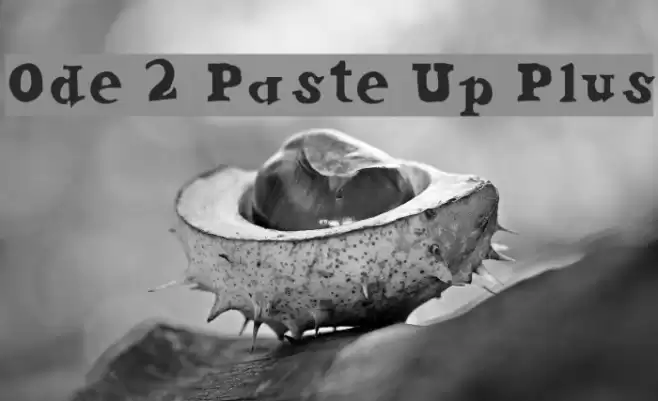 Ode 2 Paste Up Plus Font examples