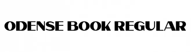 Odense Book Regular 