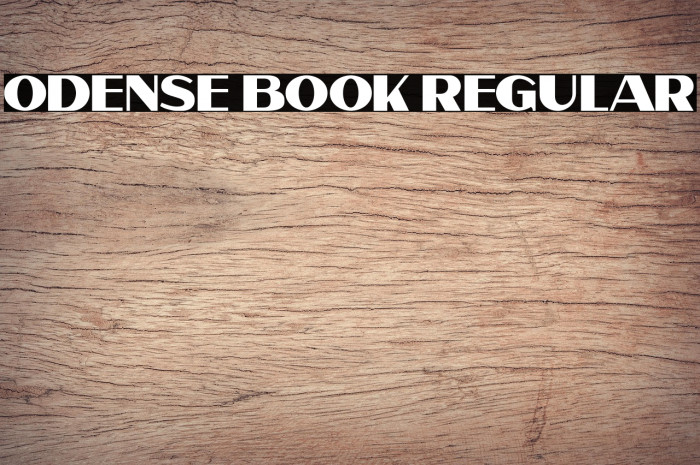 Odense Book Regular Example 1