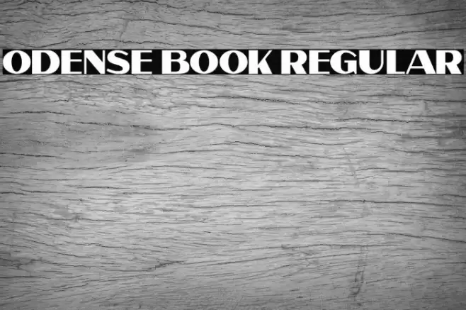 Odense Book Regular Font examples
