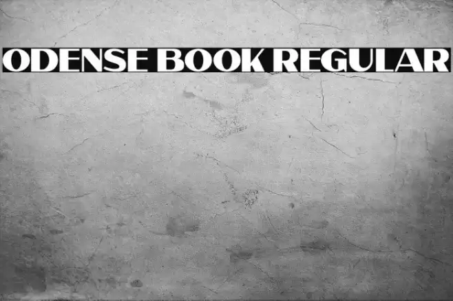 Odense Book Regular Font examples