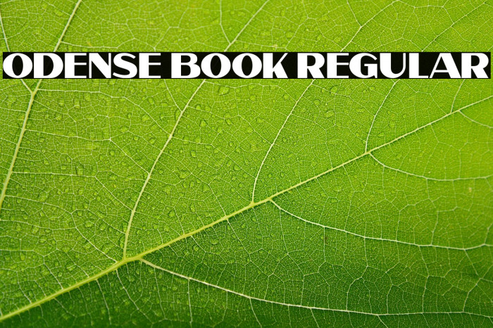 Odense Book Regular Example 3