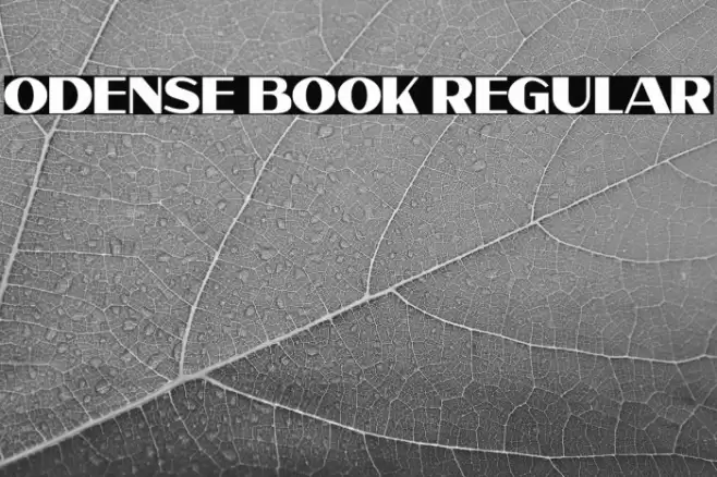 Odense Book Regular Font examples