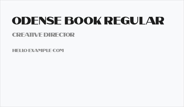 Odense Book Regular Business Card