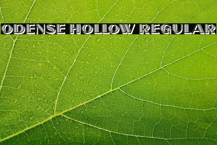 Odense Hollow Regular Example 2